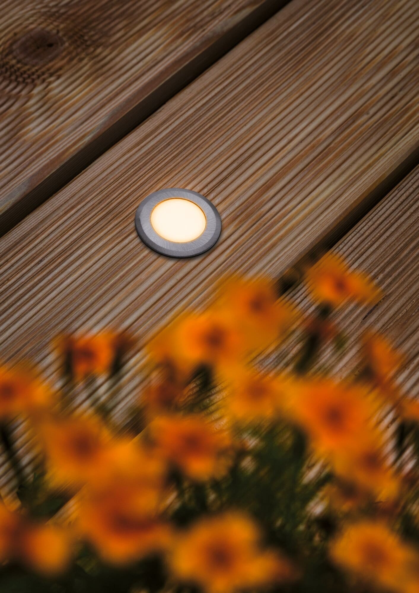 Paulmann LED Einbauleuchte »IP65 rund 50mm 2200K 2,2W 60lm 230V Alu Kunststoff, Metall« 1 Stk. Bodeneinbauleuchte Goldlicht insektenfreundlich