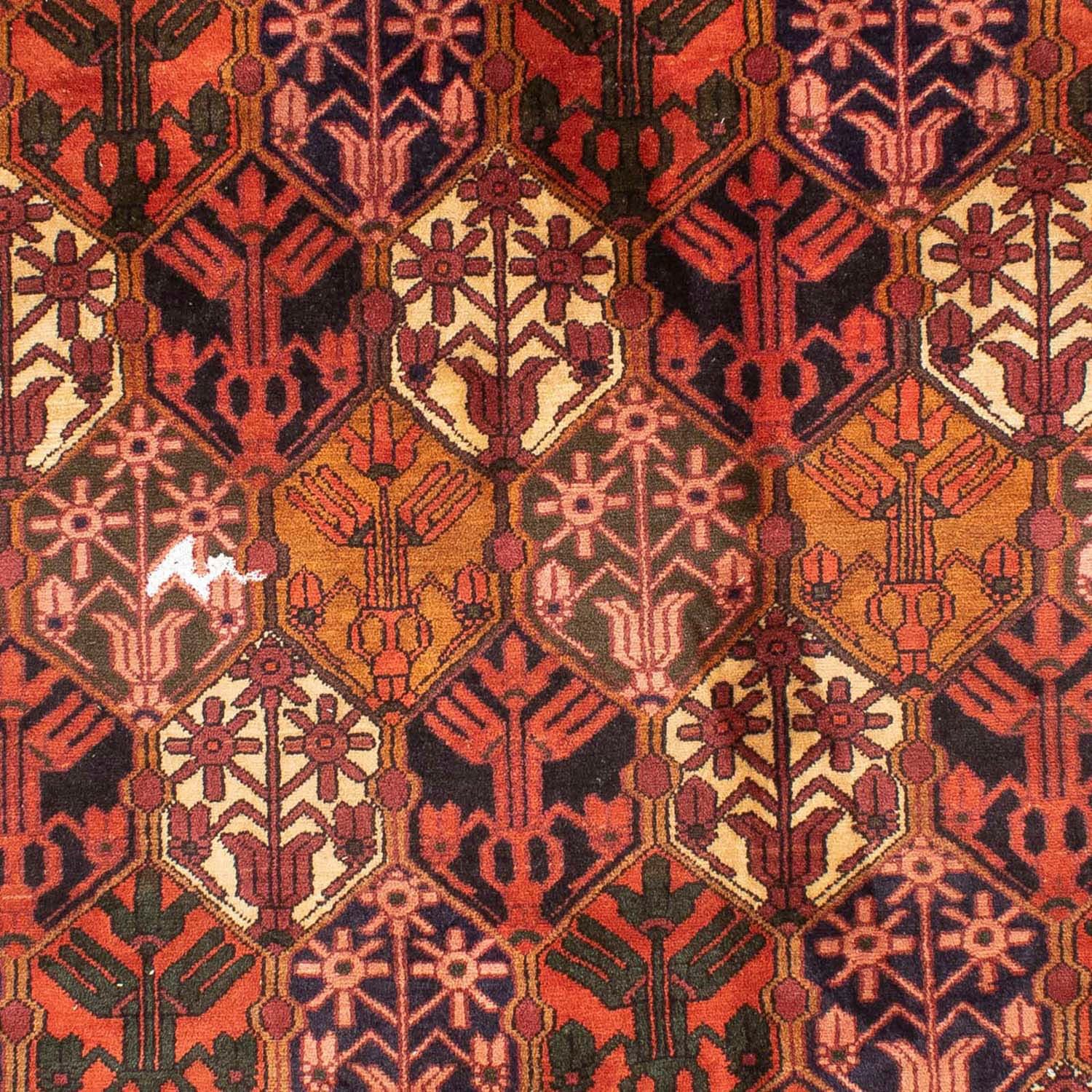 morgenland Wollteppich »Bachtiar Durchgemustert Rosso chiaro 288 x 210 cm«, rechteckig, Unikat mit Zertifikat