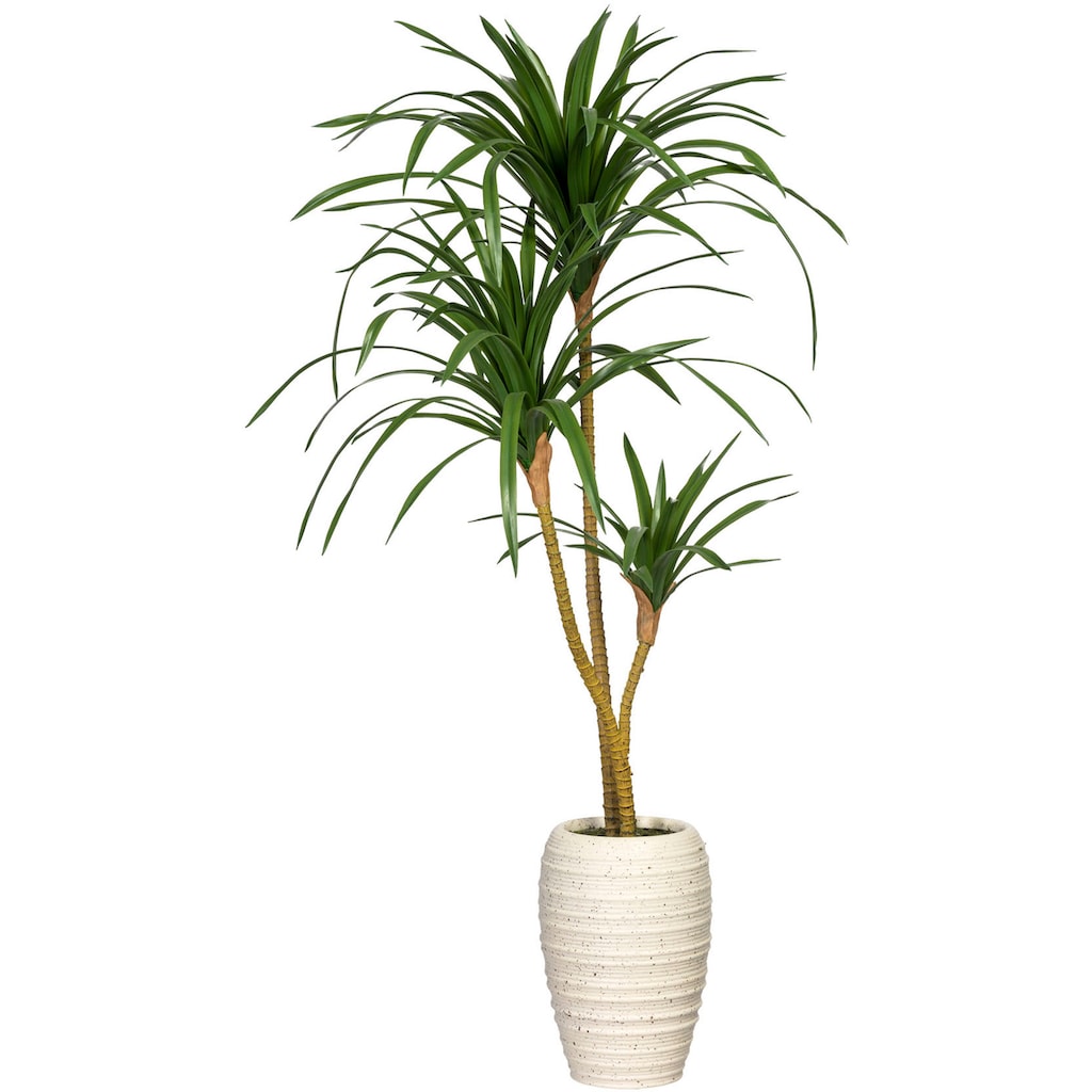 Creativ green Künstliche Zimmerpflanze »Dracaena marginata«