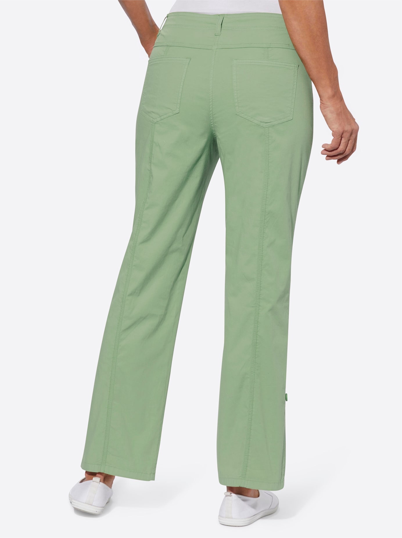 Classic Basics Webhose