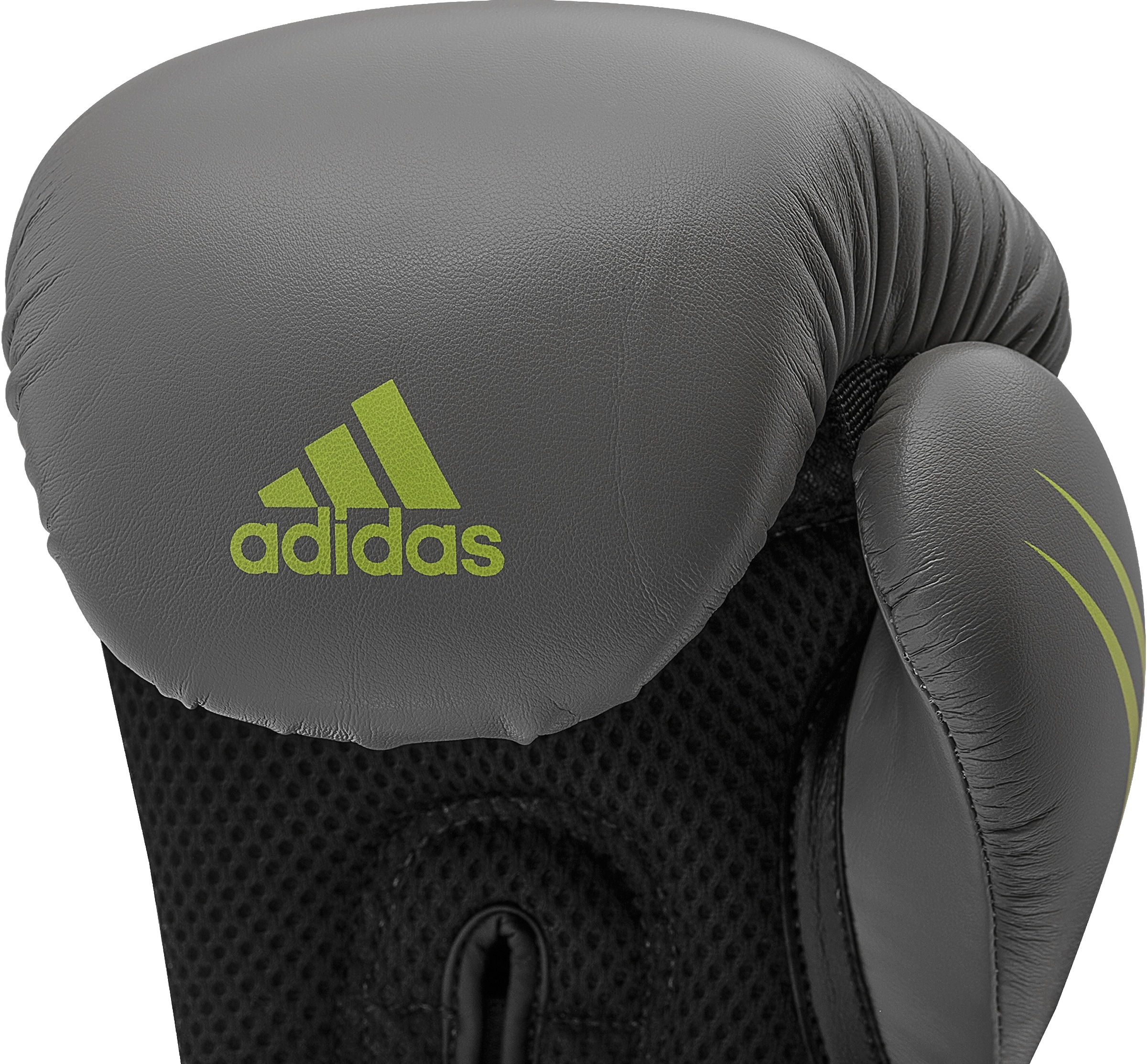 »Speed adidas Tilt | BAUR 150« Performance Boxhandschuhe