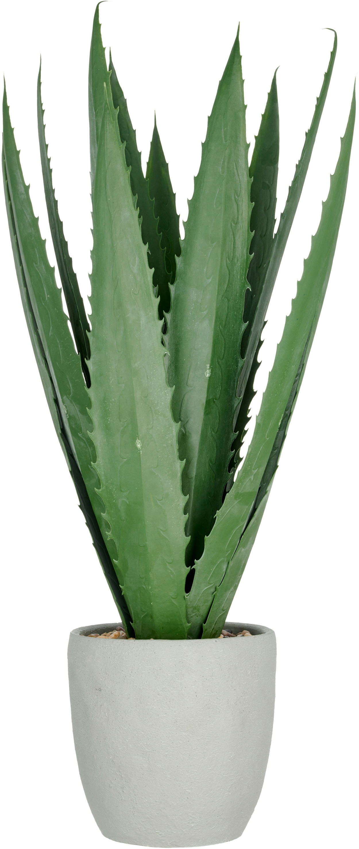 Creativ green Kunstpflanze "Agave", mit 13 Agavenblättern günstig online kaufen