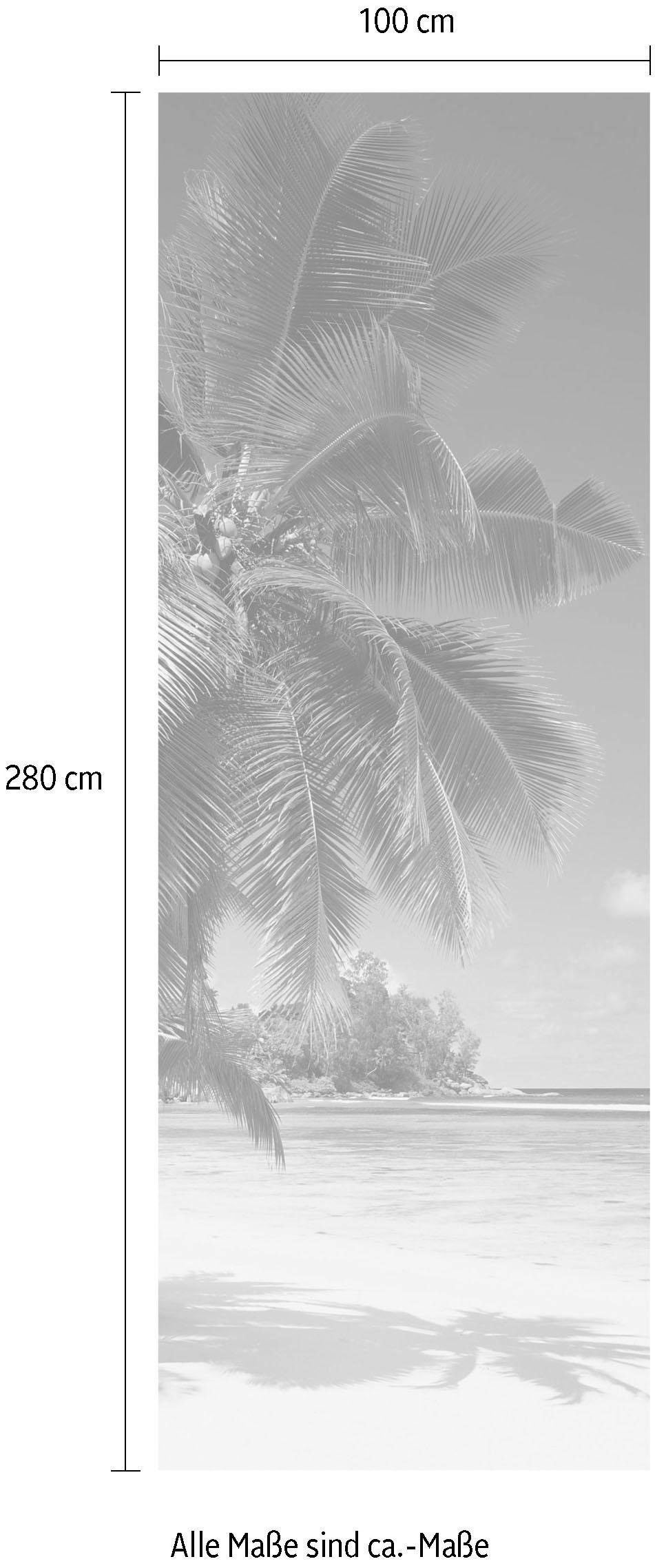 Komar Vliestapete »Coconut Bay«, 100x280 (Breite | BAUR Vliestapete, x cm 100 cm kaufen Bahnbreite Höhe)