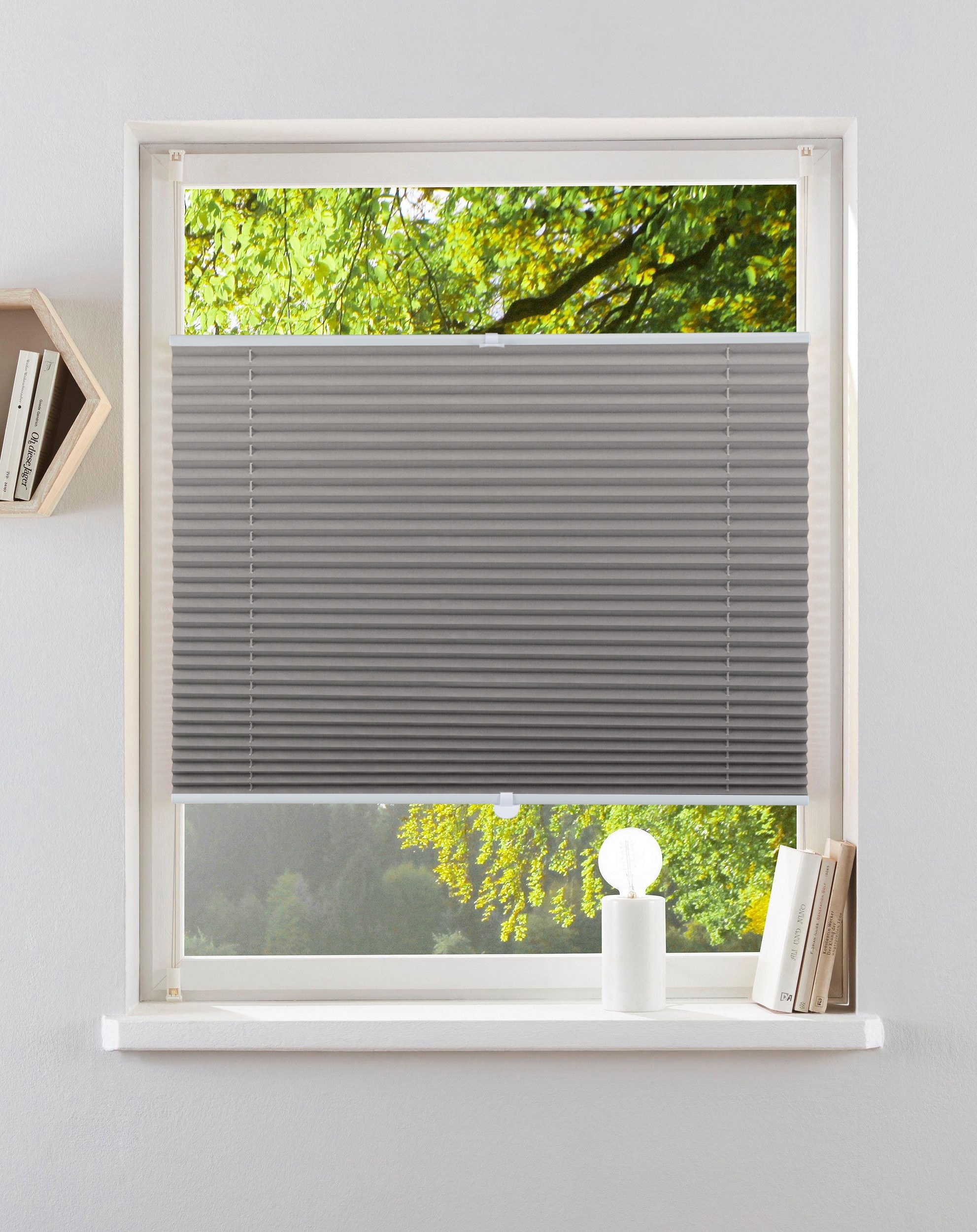 my home Plissee "LAHOLM" Lichtschutz ohne Bohren verspannt Fixmaß, Bestsell günstig online kaufen