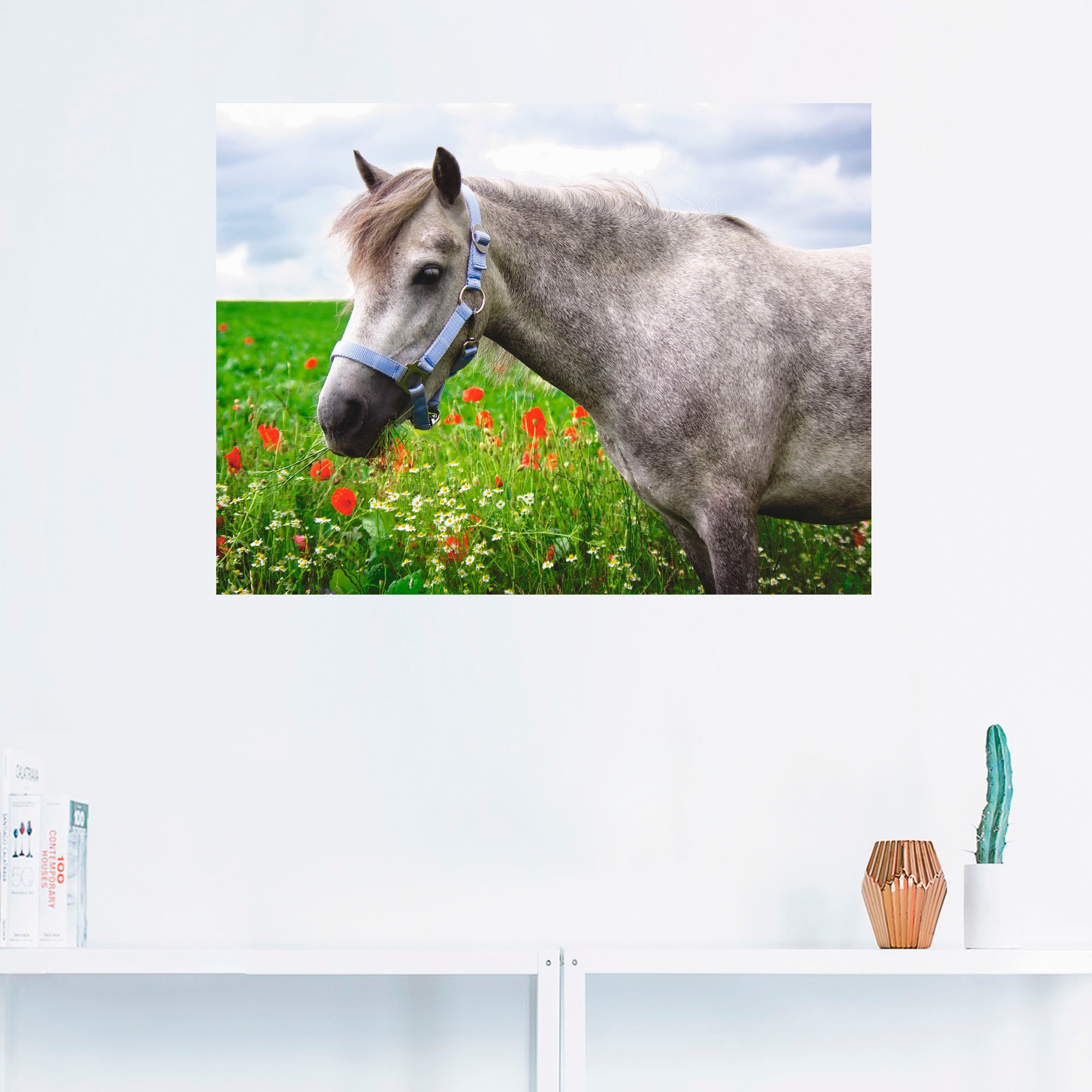 Artland Wandbild "Welshpony", Haustiere, (1 St.), als Leinwandbild, Wandauf günstig online kaufen