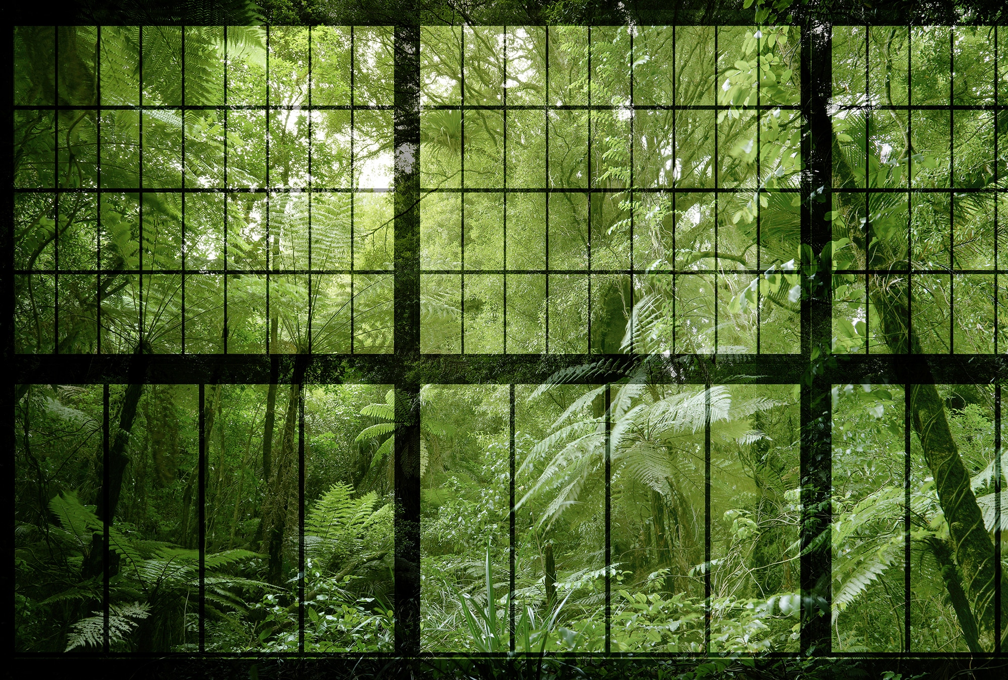 living walls Fototapete "Walls by Patel Rainforest 2" glatt Vlies, Wand, Schräge