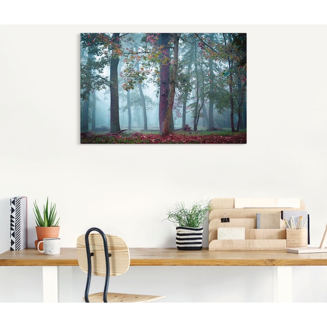 Black Friday Artland Wandbild »Nebel im Wald«, Waldbilder, (1 St.), als  Alubild, Leinwandbild, Wandaufkleber oder Poster in versch. Größen | BAUR