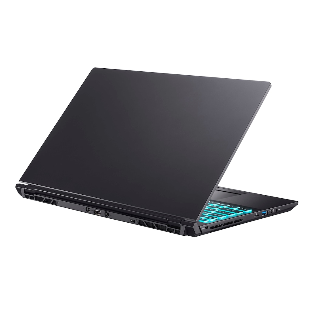 Hyrican Gaming-Notebook »Striker 1637«, 39,62 cm, / 15,6 Zoll, Intel, Core i7, GeForce RTX 3080 Max.Q, 1000 GB SSD