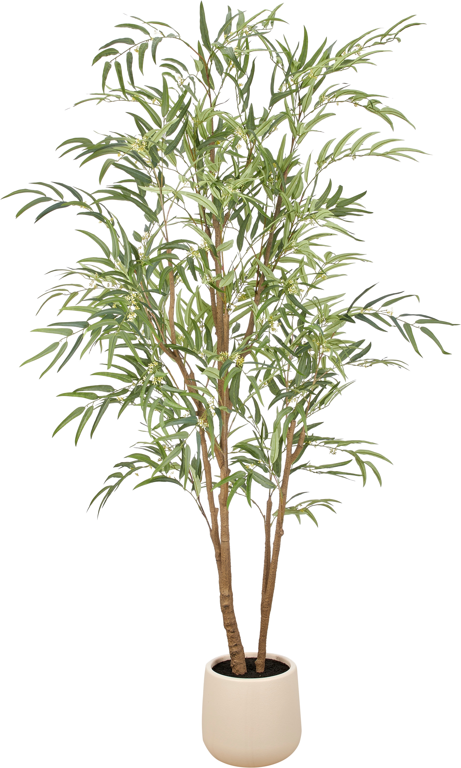 Creativ green Kunstbaum "Elaeagnus angustifolia" in beeindruckender Größe