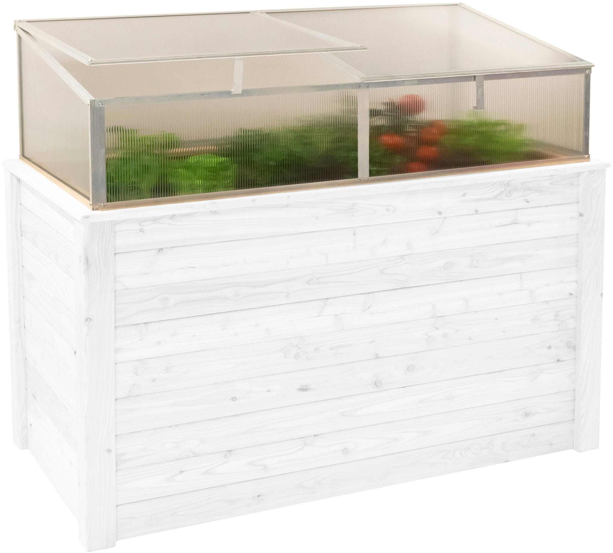 WESTMANN Frühbeetaufsatz »Genus 170« BxTxH: 165x85x41 cm