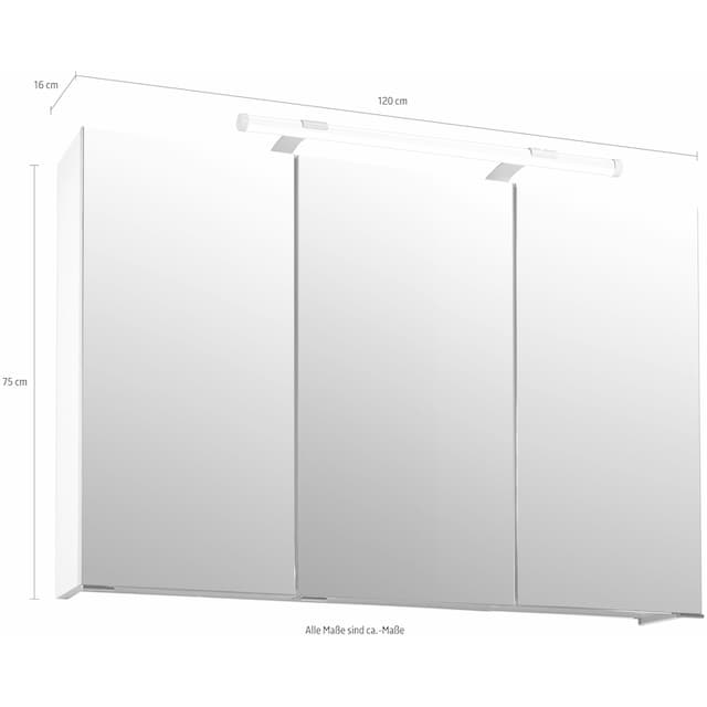 Schildmeyer Spiegelschrank »Dorina«, Breite 120 cm, 3-türig, LED-Beleuchtung,  Schalter-/Steckdosenbox bestellen | BAUR