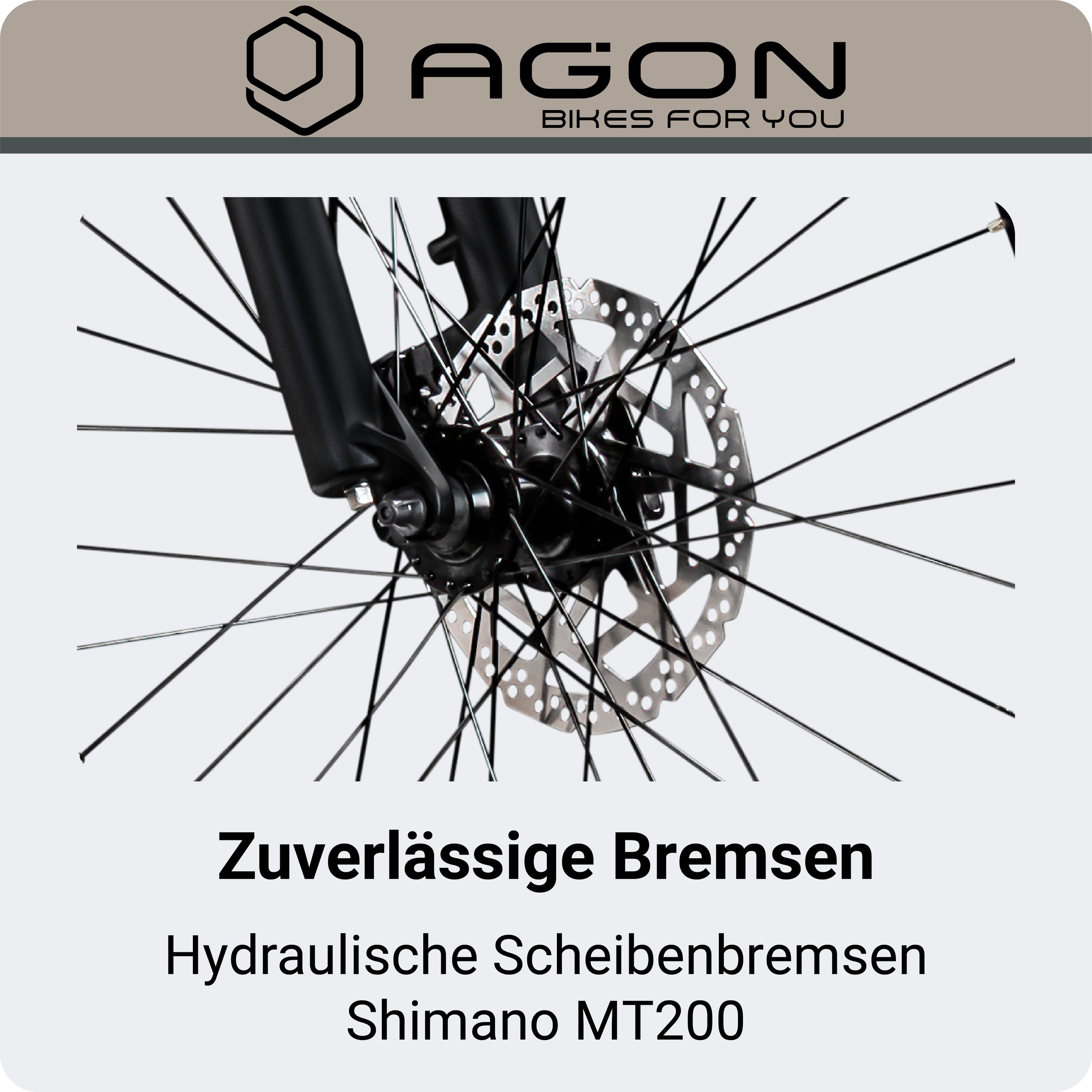 AGON »Alpha« 10 Gang Deore SGS T6000 Schaltwerk Kettenschaltung Heckmotor 250 W Pedelec, Elektrofahrrad für Damen u. Herren, MTB
