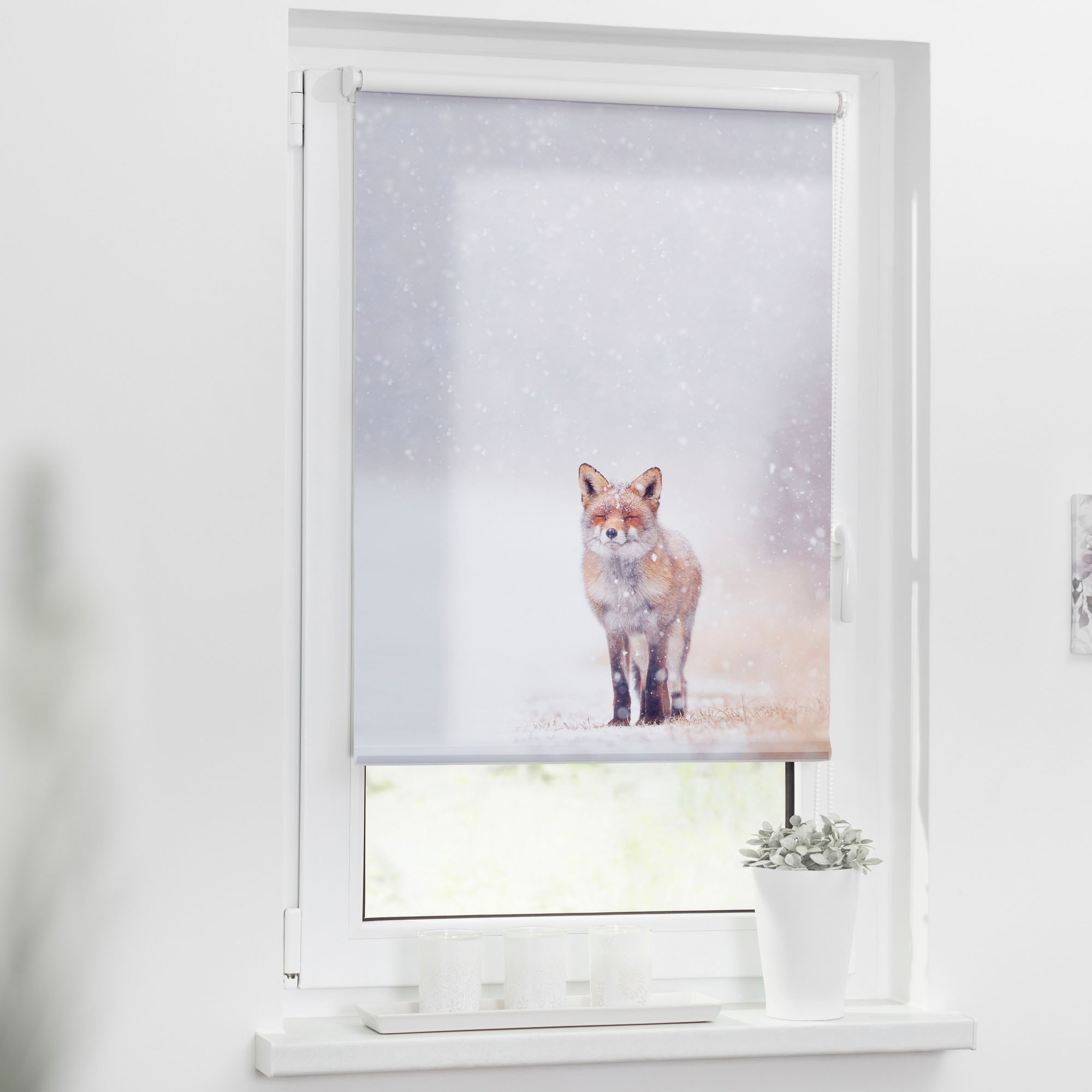 LICHTBLICK ORIGINAL Seitenzugrollo »Klemmfix Motiv Fuchs im Schnee«,  Lichtschutz, ohne Bohren, freihängend, bedruckt | BAUR
