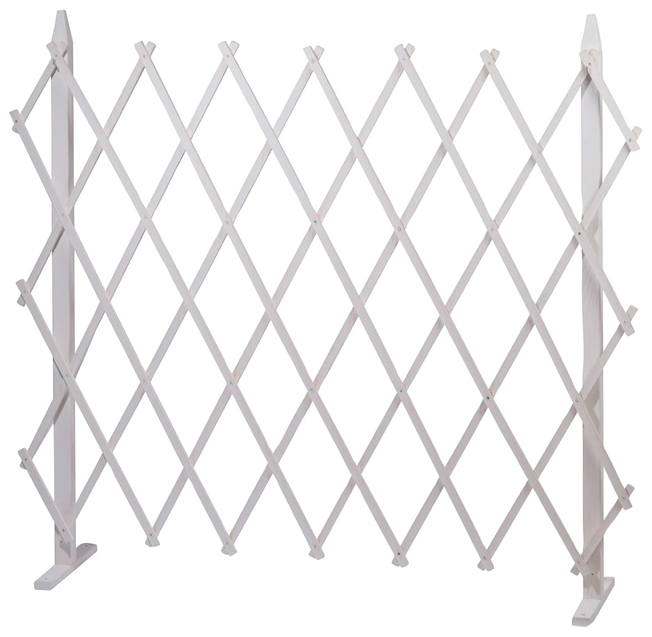 dobar Rankgitter »Gr. L«, faltbar, BxTxH: 160x35x120 cm