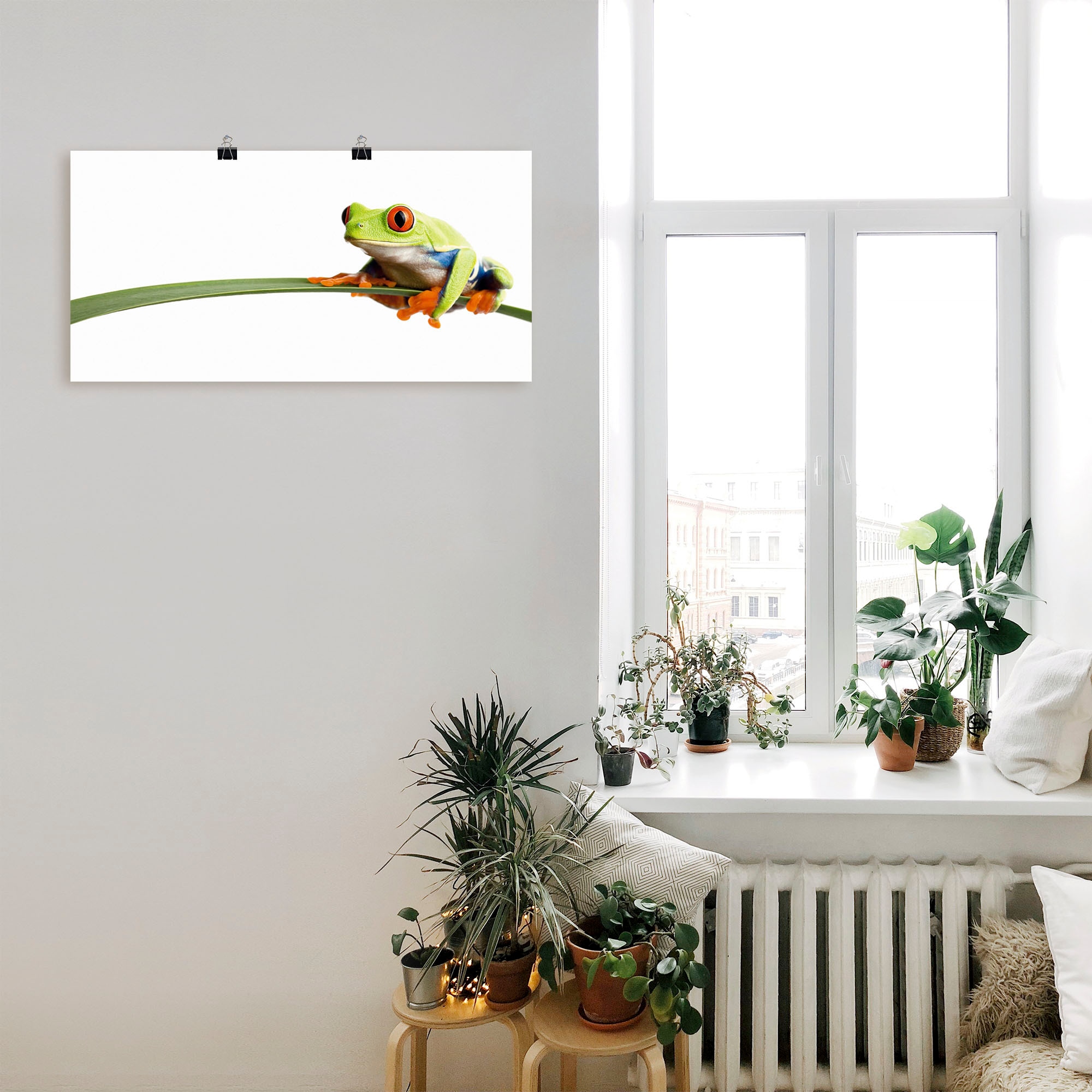 Artland Wandbild »Frosch auf einem Blatt« Wassertiere 1 Stk. tlg. als Alubild, Outdoorbild, Leinwandbild, Poster, Wandaufkleber