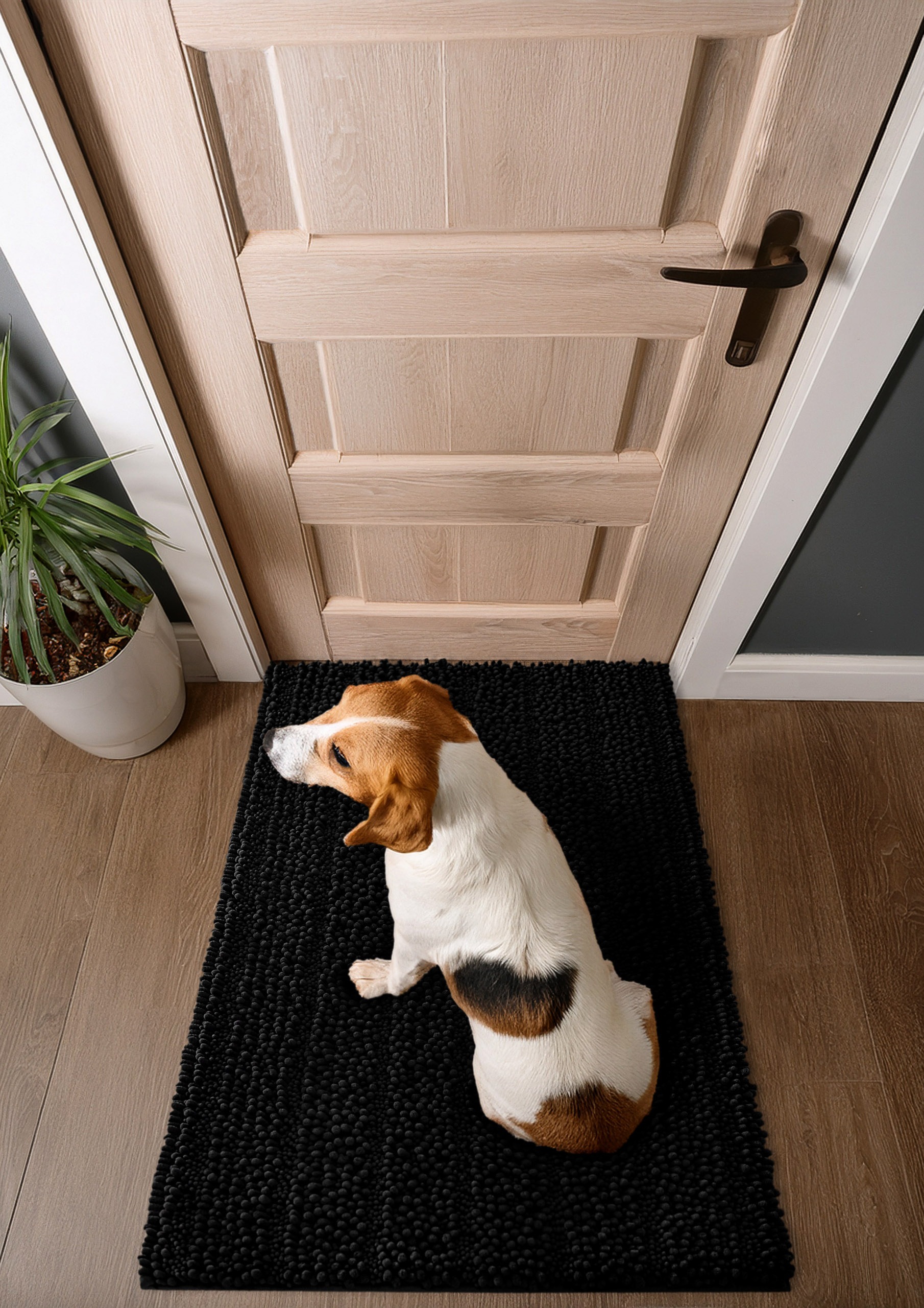 Wecon home Teppich "Cooper" rechteckig 22 mm Höhe Haustierteppich, rutschfe günstig online kaufen