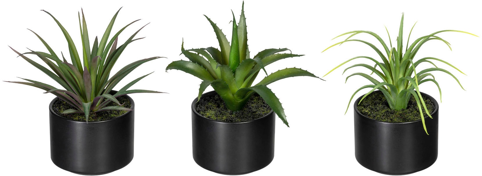 Künstliche Zimmerpflanze »Set aus Aloe, Agave und Tillandsie«, im Keramiktopf, 3er Set