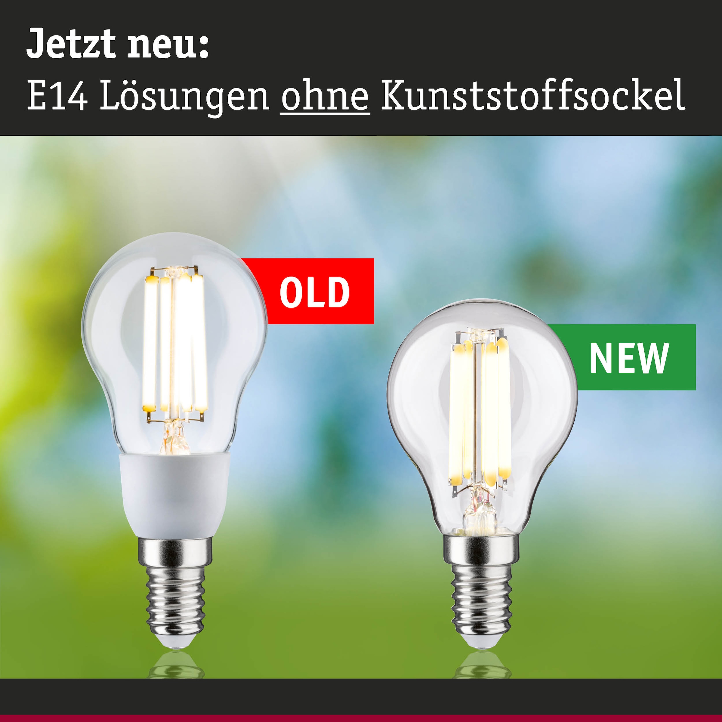 Paulmann LED-Leuchtmittel »Efficient-Line Filament 230V LEDTropfen E14 1St. 525lm 2,5W 3000K Klar« E14 1 Stk. Warmweiß