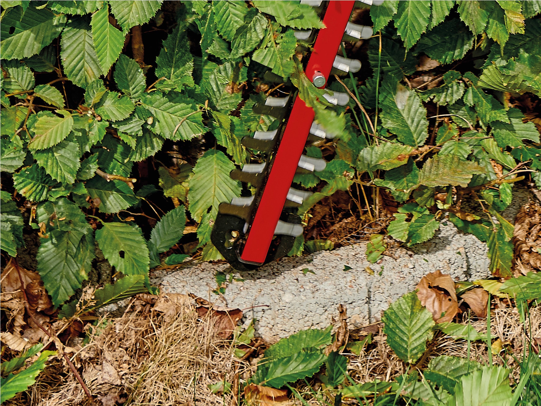 Einhell Akku-Heckenschere »ARCURRA + 2,5Ah Starter Kit«, (Set), 55 cm Schnittlänge, mit Akku und Ladegerät