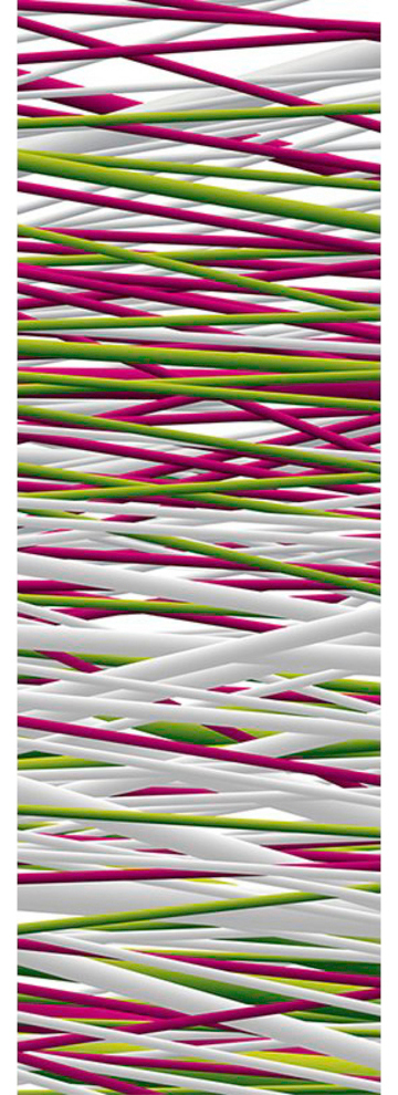 Architects Paper Fototapete "New Bamboo", Grafik Tapete Bunt Panel 1,00m x 2,80m