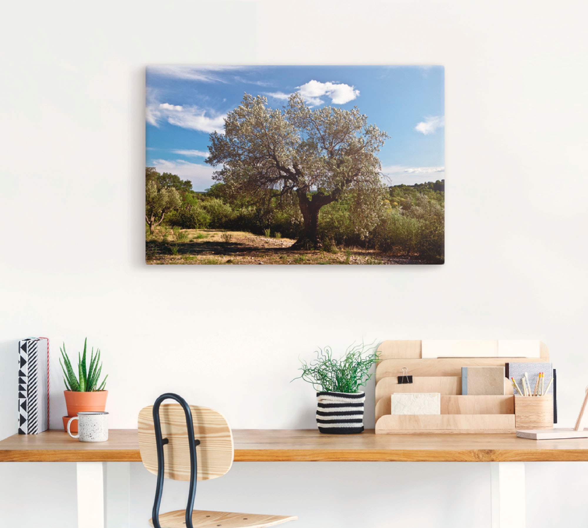 Artland Wandbild »Olivenbaum in Südfrankreich«, Bäume, (1 St.), als Alubild, Outdoorbild, Leinwandbild, Poster in verschied. Größen