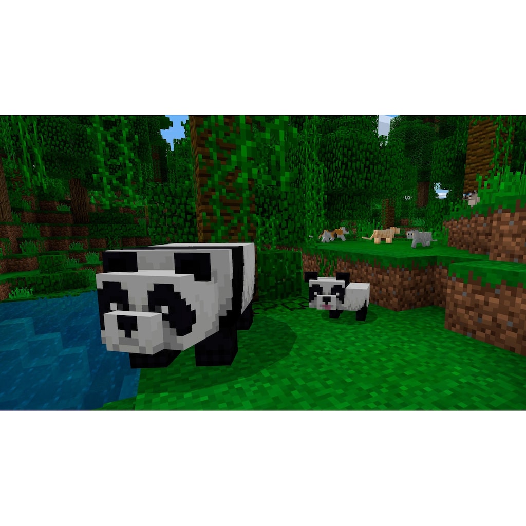 Sony Spielesoftware »Minecraft Bedrock«, PlayStation 4