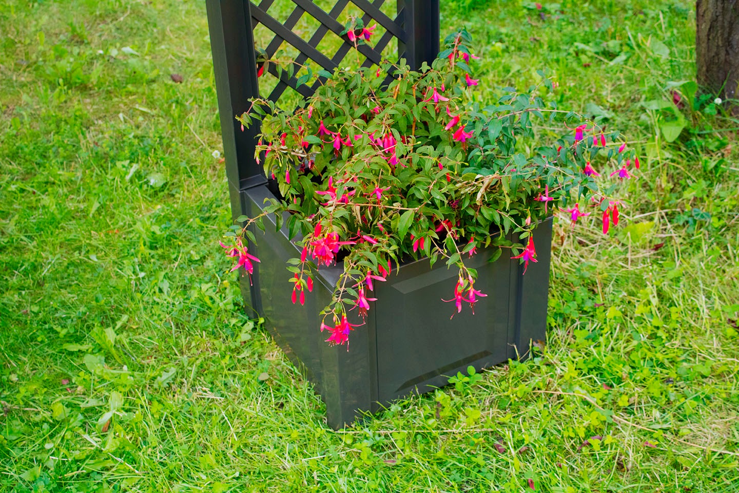 KHW Spalier mit Pflanzkasten, BxTxH: 43x43x140 cm günstig online kaufen