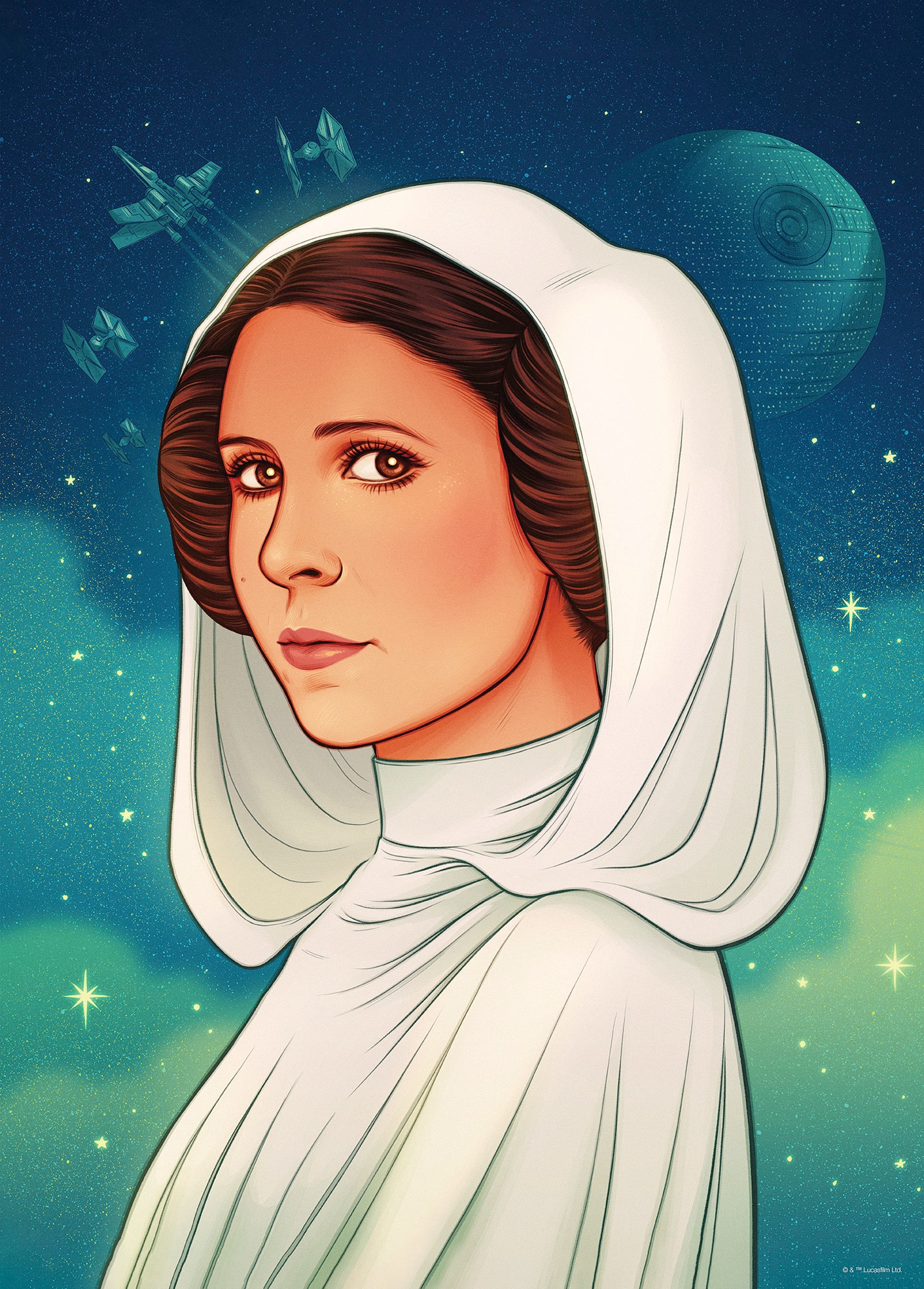 Komar Paveikslas »Star Wars Princess of Alde...