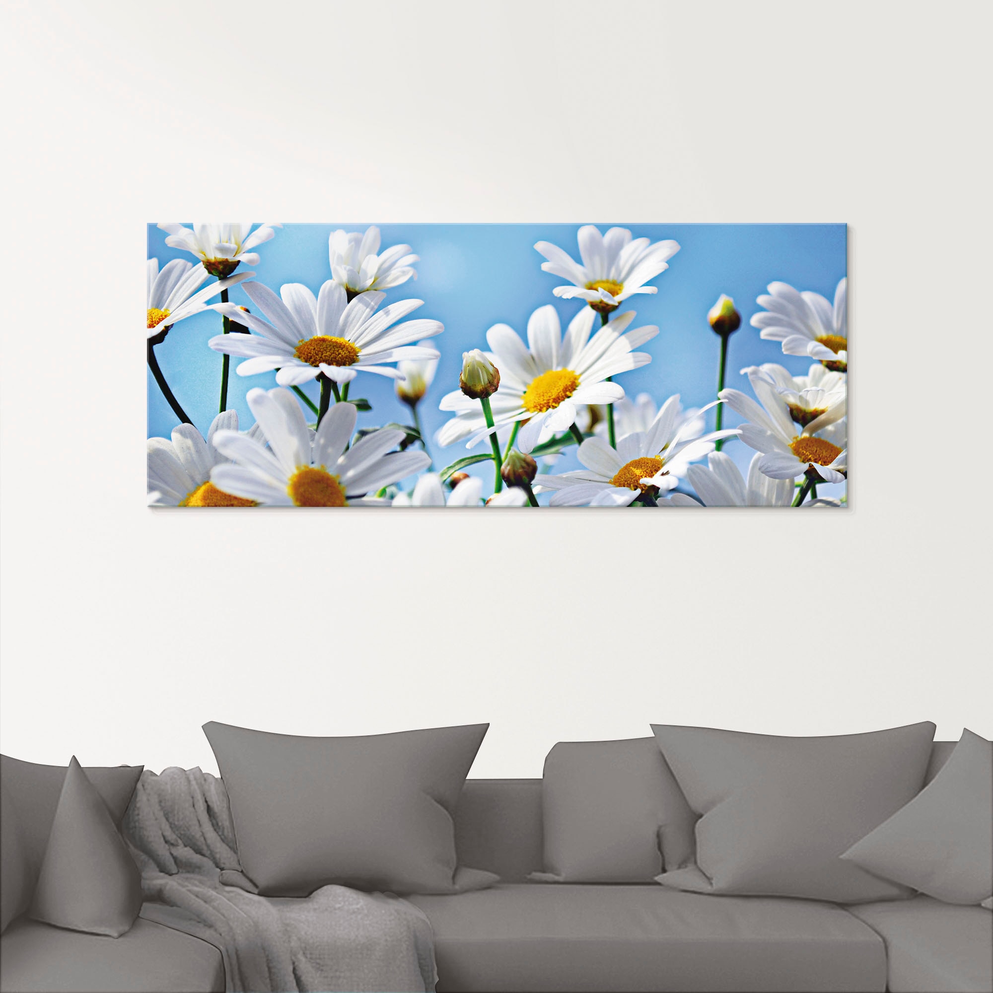 Artland Glasbild "Blumen - Margeriten" 1 Stk. tlg. in verschiedenen Größen günstig online kaufen