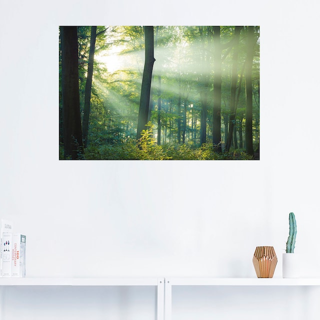 Artland Wandbild »Licht im Wald«, Waldbilder, (1 St.), als Alubild,  Leinwandbild, Wandaufkleber oder Poster in versch. Größen bestellen | BAUR