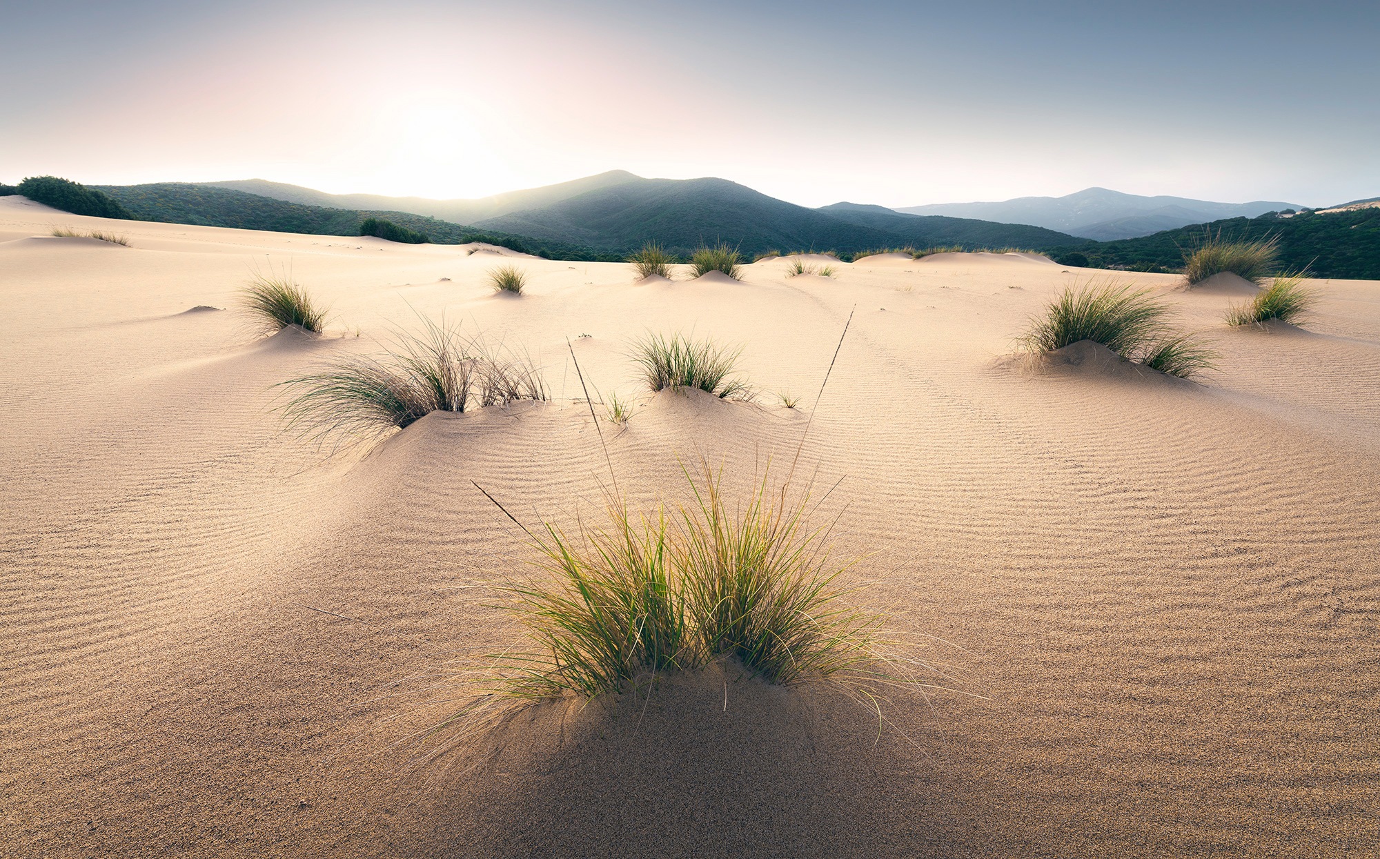 Komar Vliestapete "Vivid Dunes", 450x280 cm (Breite x Höhe), Wohnzimmer, Schlafzimmer