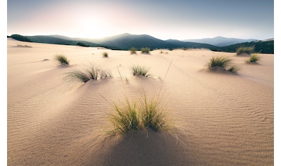 Vliestapete »Vivid Dunes«