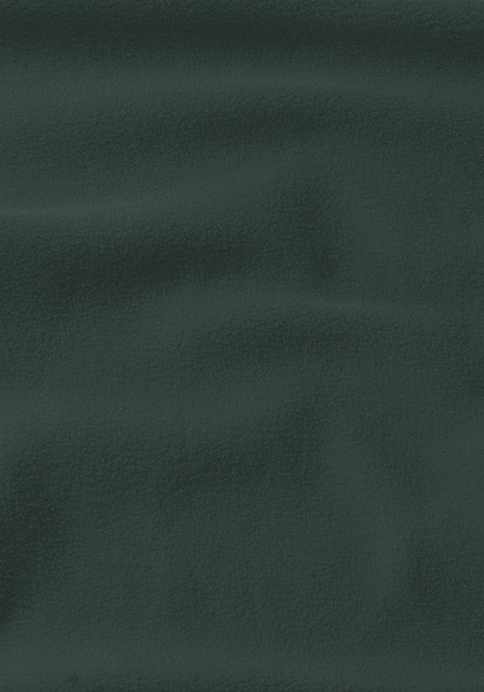Jack Wolfskin Fleecejacke »BAISELBERG HOODED FZ M«, mit Kapuze