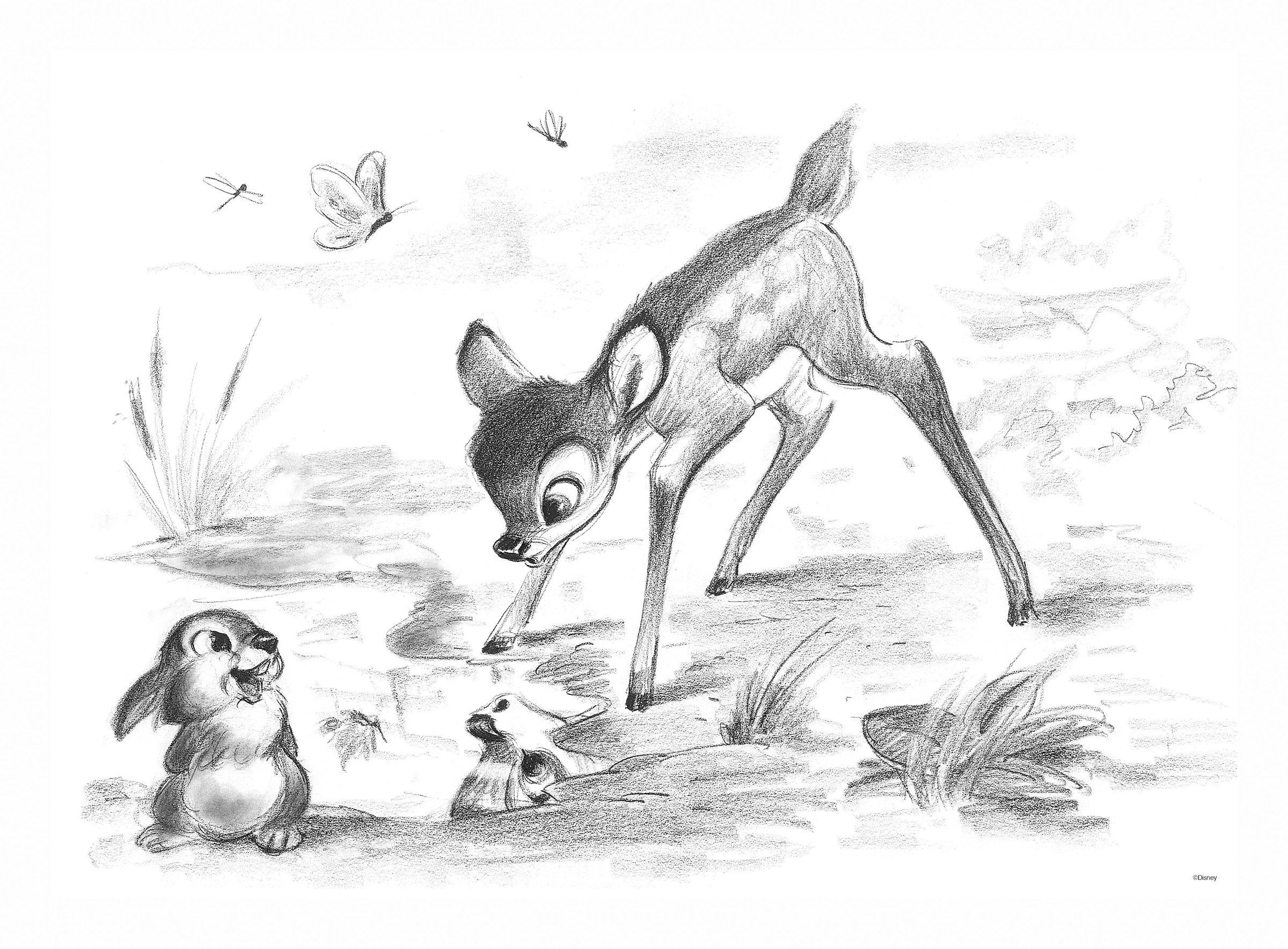 Disney Leinwandbild »Bambi 50x70cm & | Klopfer, bestellen Bambi BAUR Klopfer«, 
