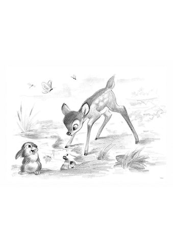 Disney Paveikslas ant drobės »Bambi & Klopfer...