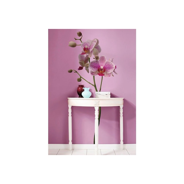 Komar Wandtattoo »Orchidee«, selbstklebend kaufen | BAUR