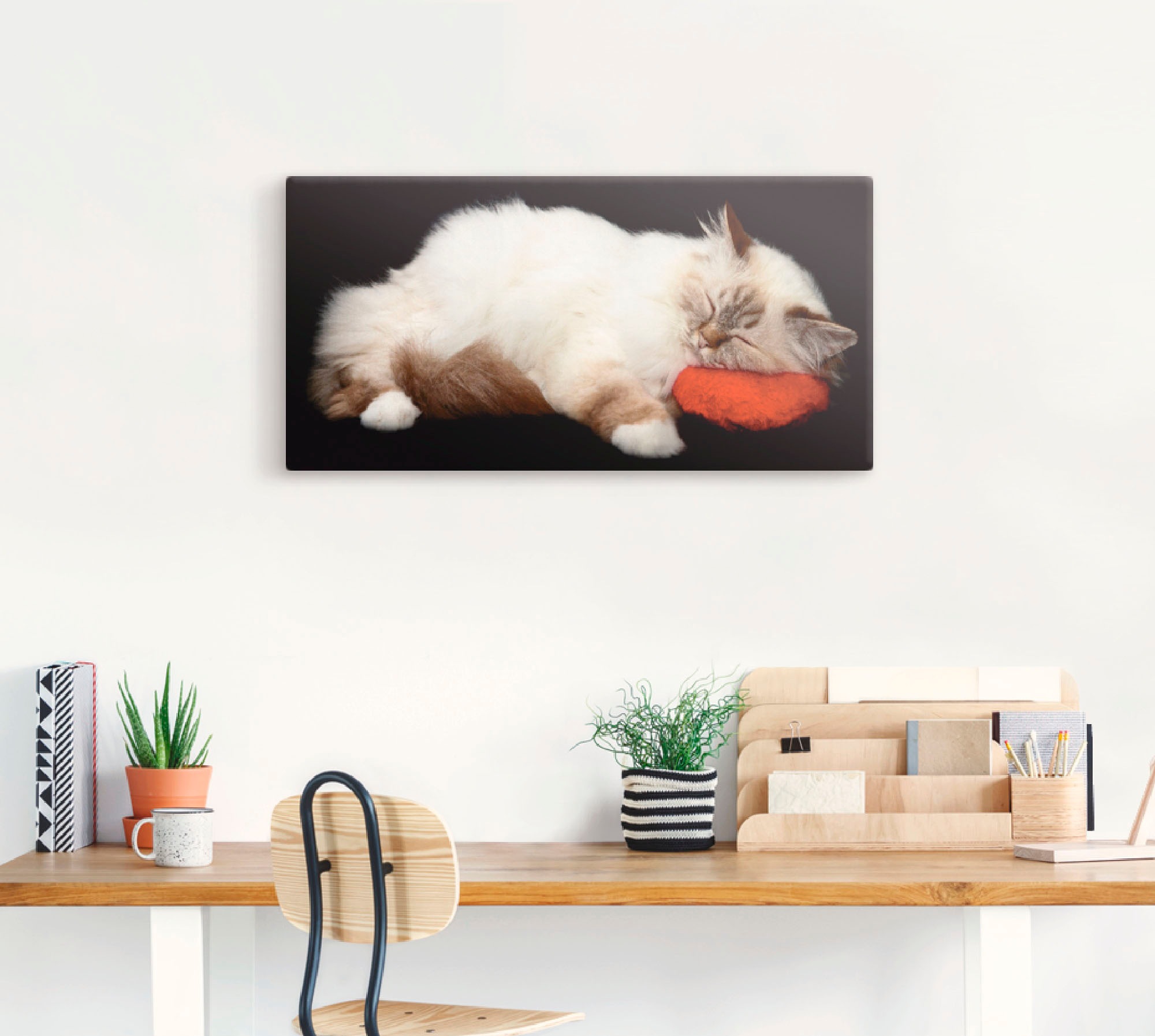 Artland Wandbild "Müde Katze" Haustiere 1 Stk. tlg. als Leinwandbild, Poste günstig online kaufen