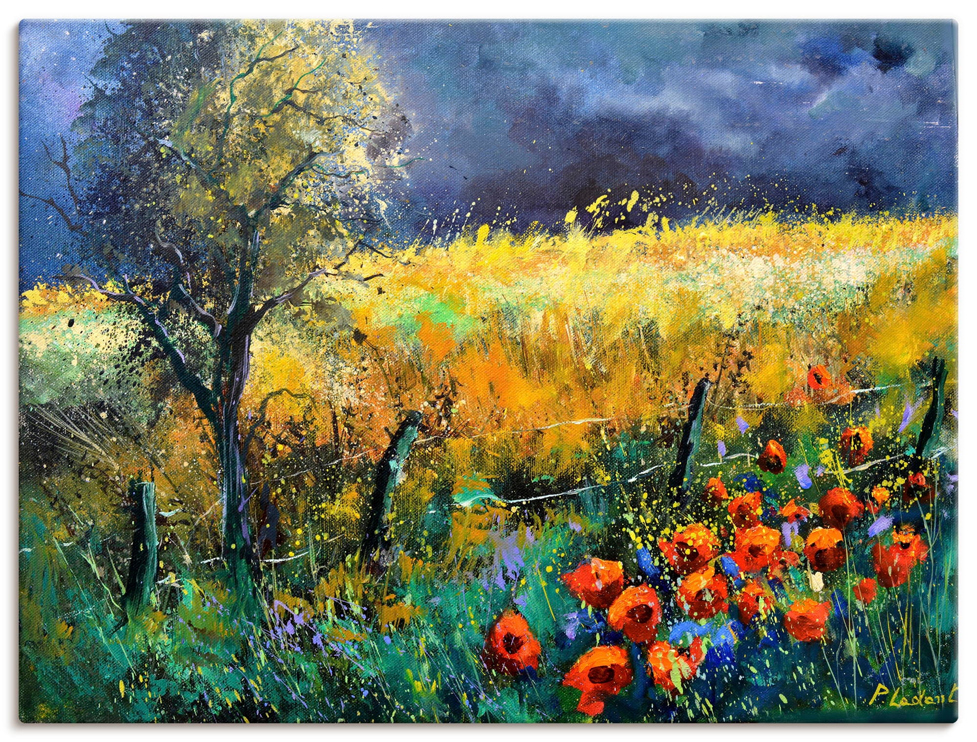 Artland "Red poppies" Wiesen & Baumbilder 1 Stk. tlg. als Alubild, Leinwandbild, Poster, Wandaufkleber in verschied. Größen