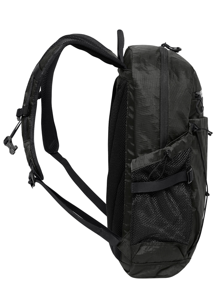 Jack Wolfskin Daypack »WANDERMOOD PACK 20«