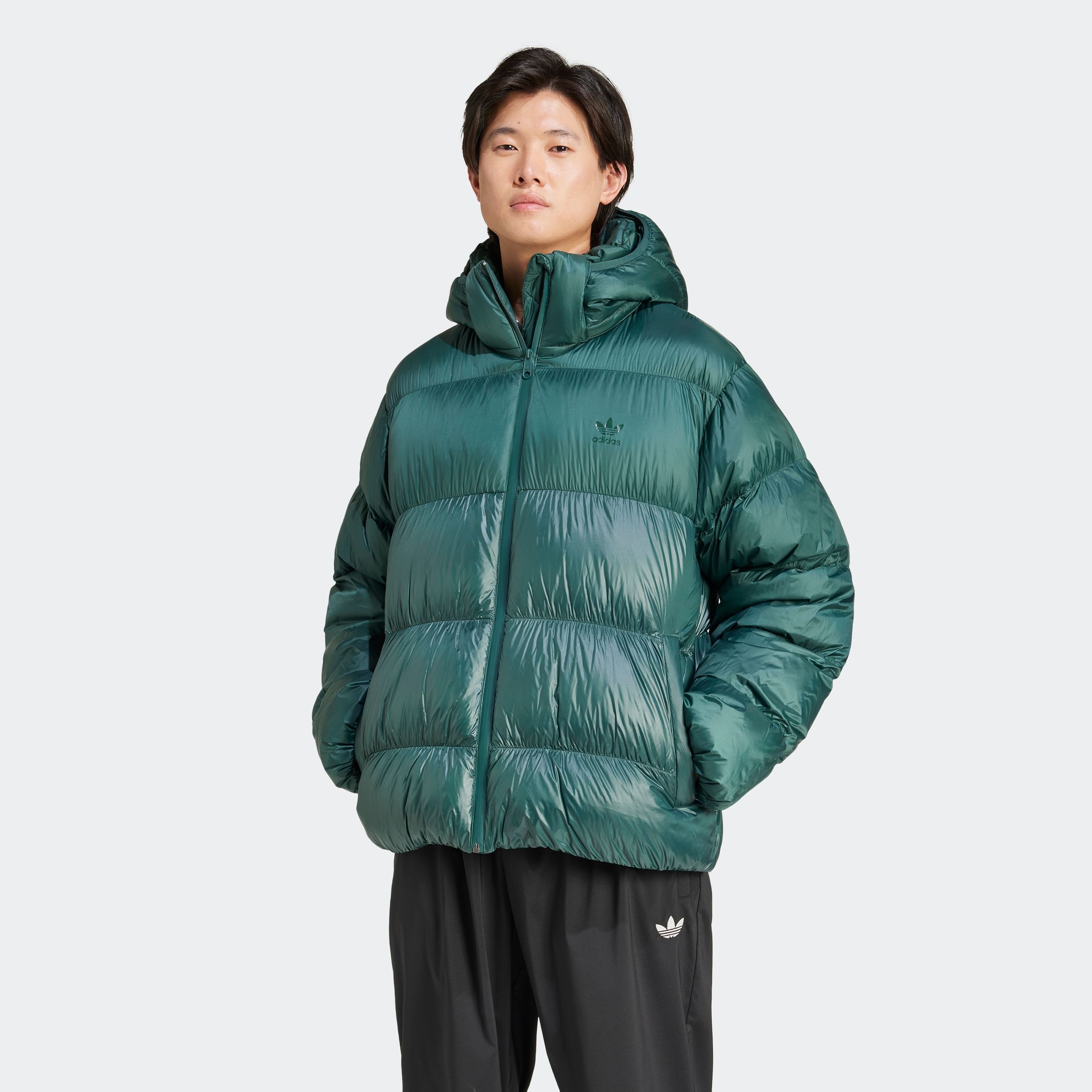 adidas Originals Winterjacke "ADICOLOR REGEN PUFFY" günstig online kaufen