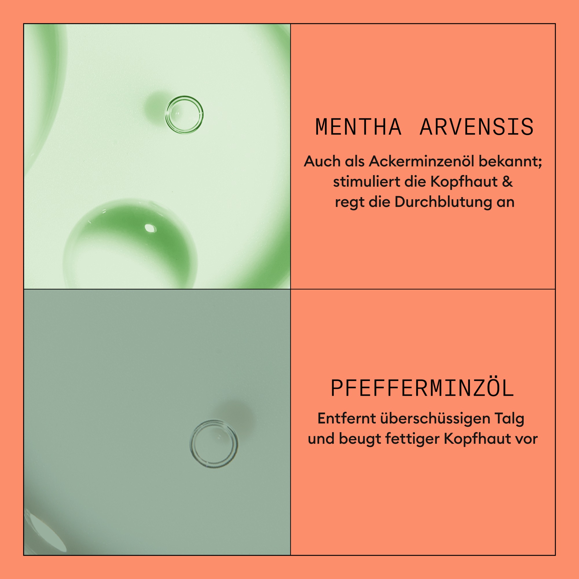 Nioxin Haarspülung »NIOXIN SCALP + HAIR SYSTEM 4 CONDITIONER« dermatologisch getestet, für coloriertes & dünner werdendes Haar