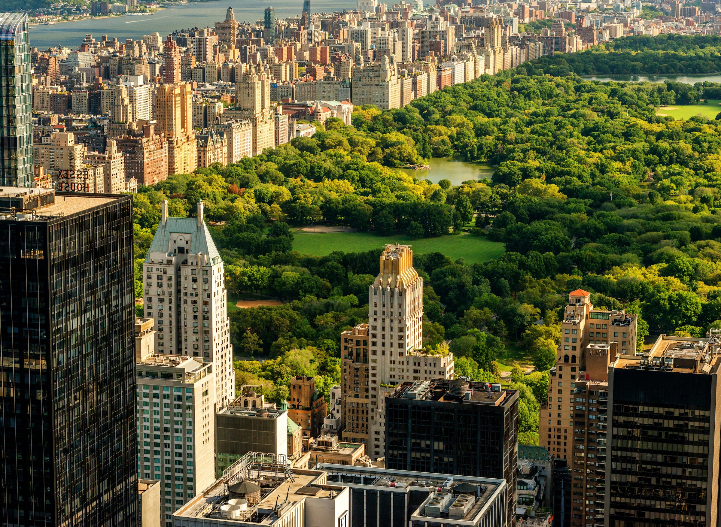 Papermoon Fototapete "Central Park Manhattan" glatt