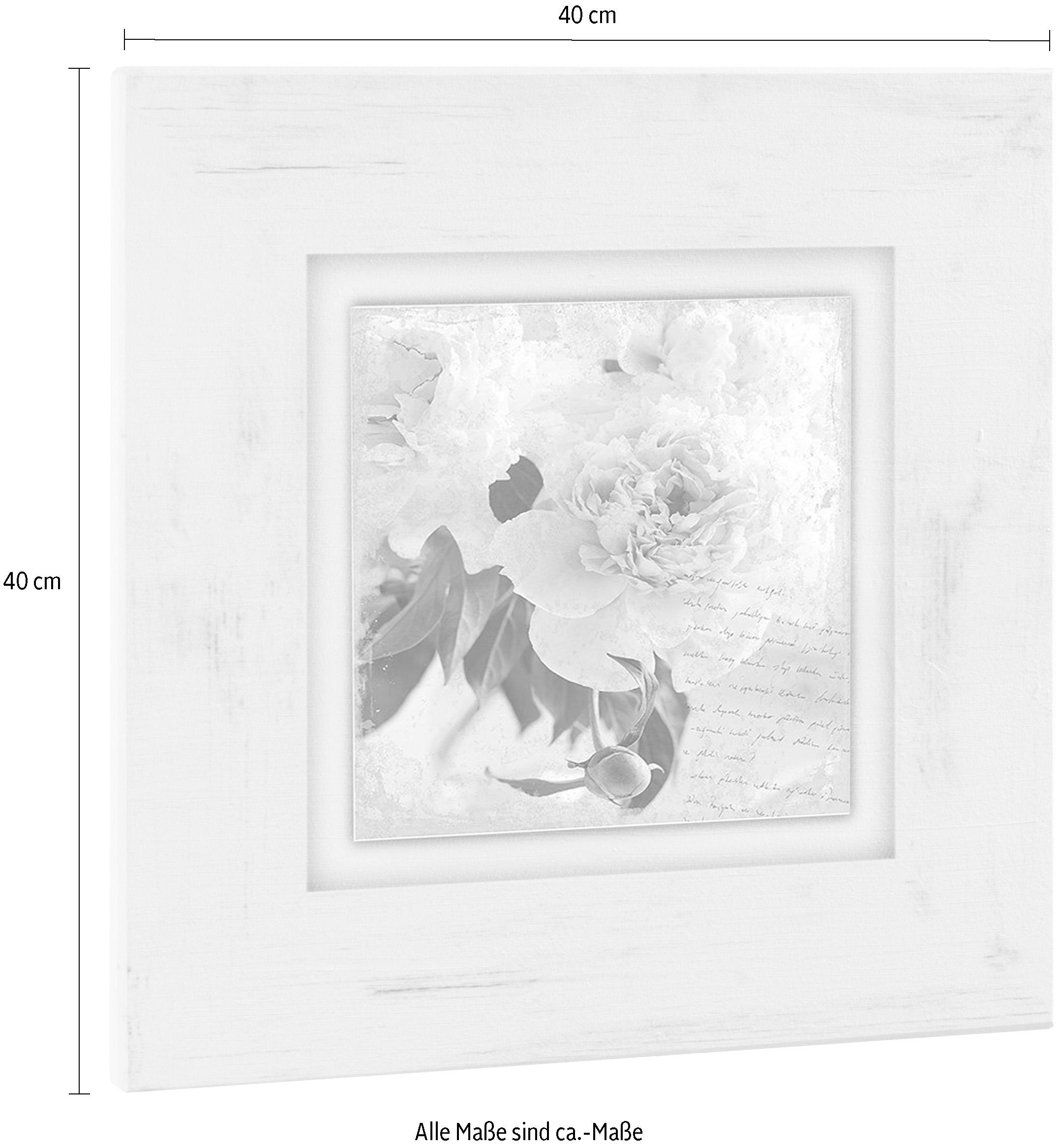 Home affaire Holzbild »Rosa Blume«, 40/40 cm