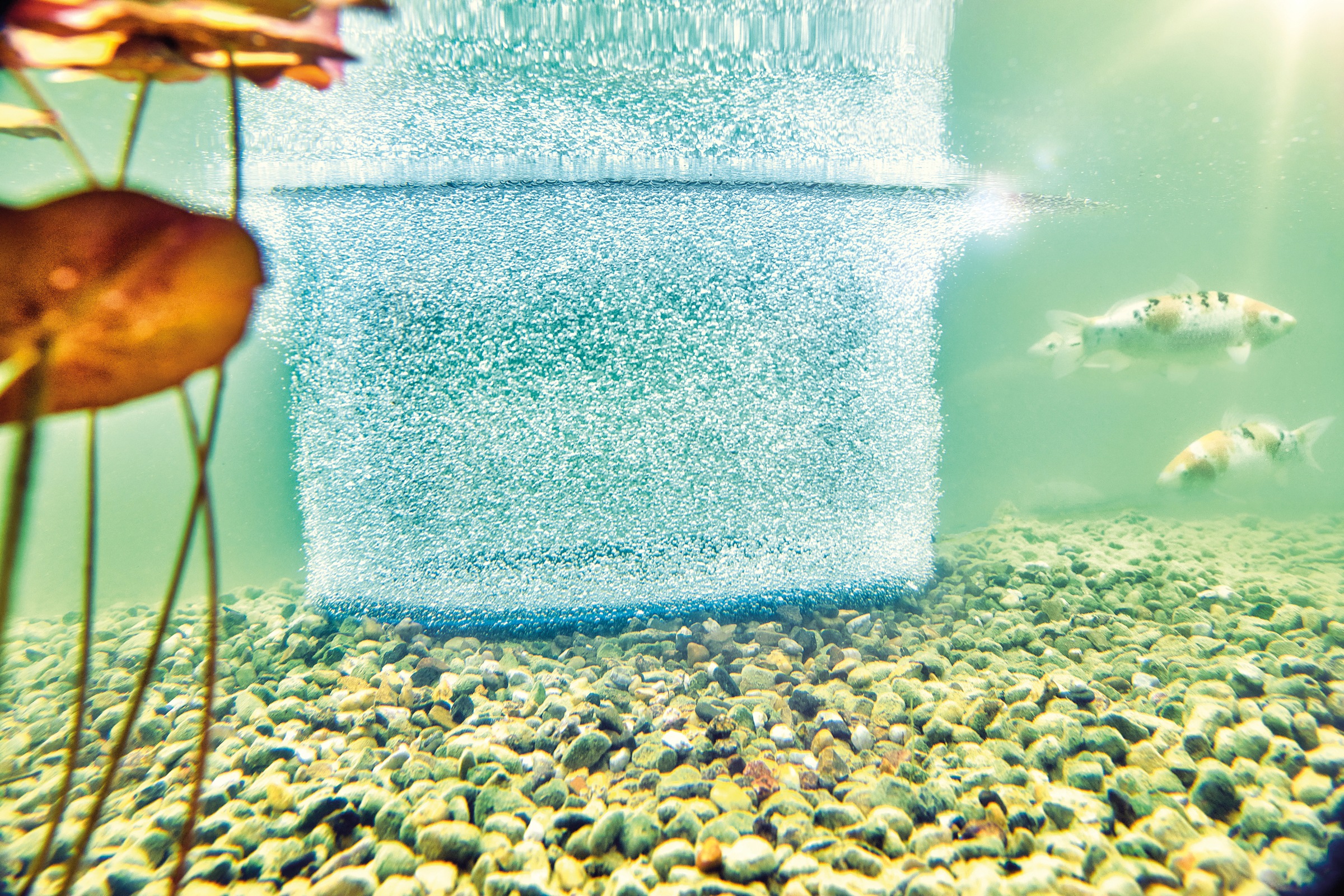 Anello Aeratore OASE AquaOxy D 60 Cm - Per Laghetti E Stagni, Aumenta Ossigeno Per Pesci E Koi - Foto 6