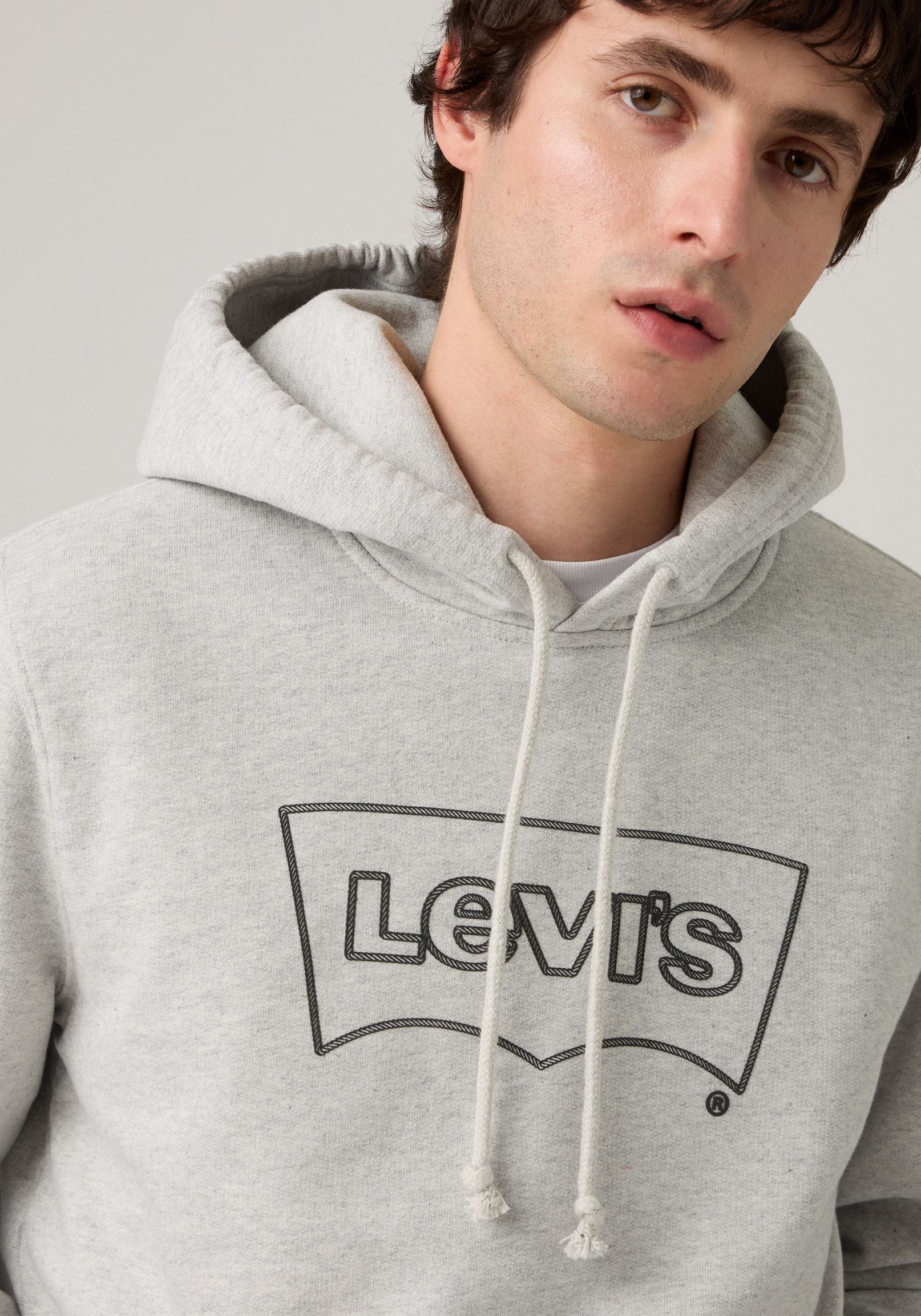 Levi's® Hoodie »STANDARD GRAPHIC HOOD«, mit Kängurutasche