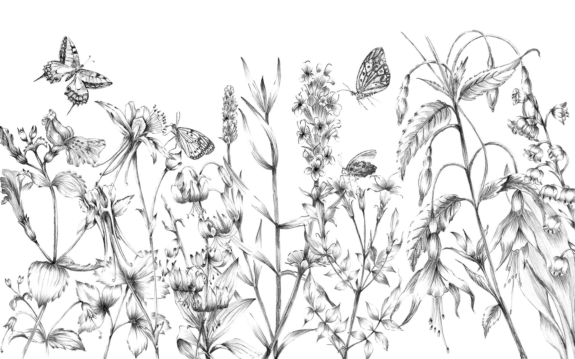 Komar Vliestapete »Butterfly Field«, 400x250 cm (Breite x Höhe)
