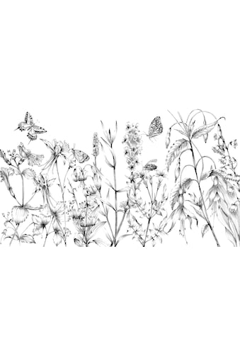 Komar Vliestapete »Butterfly Field« 400x250 ...