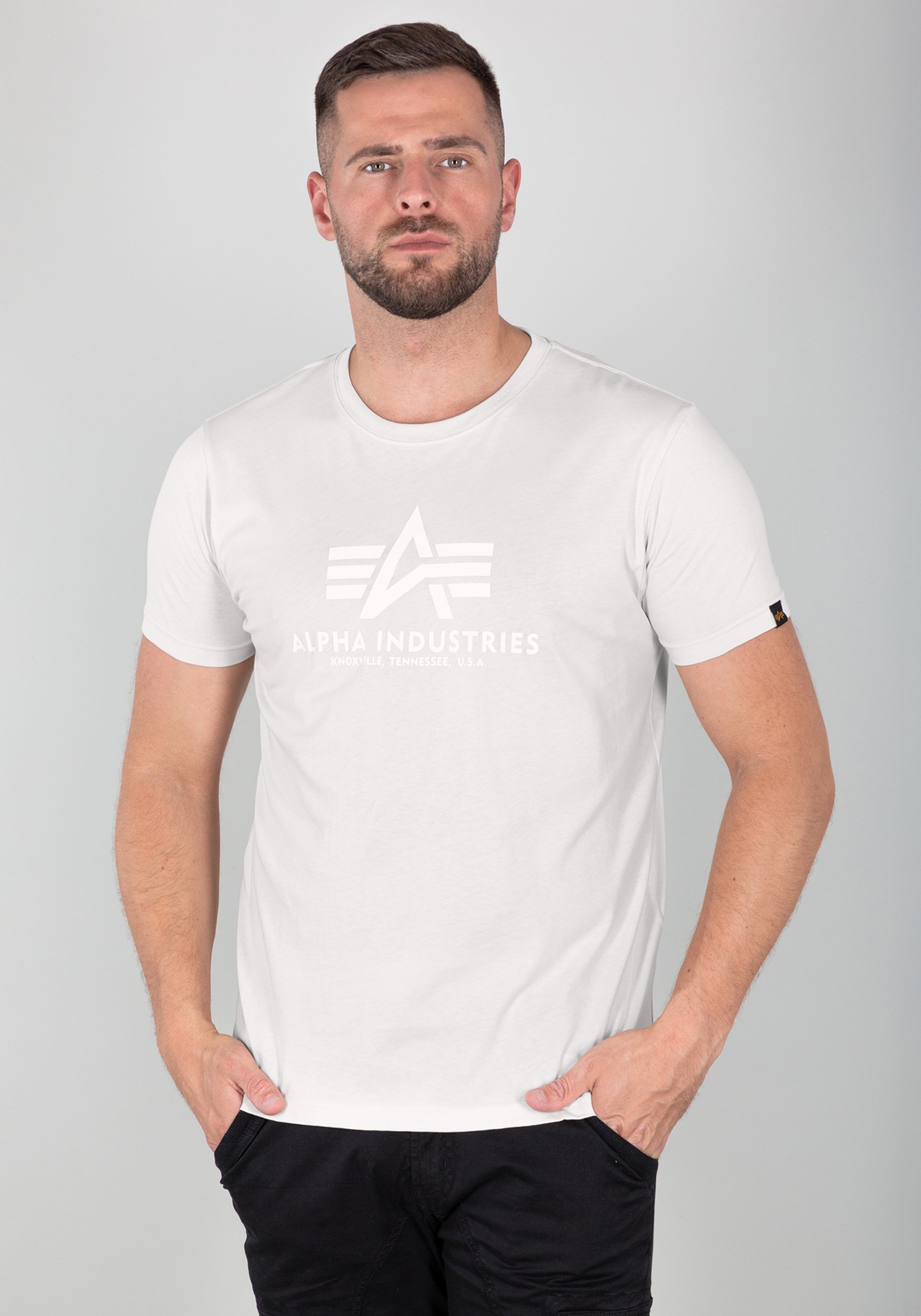 Alpha Industries T-Shirt »Alpha Industries Men - T-Shirts Basic T-Shirt BL«