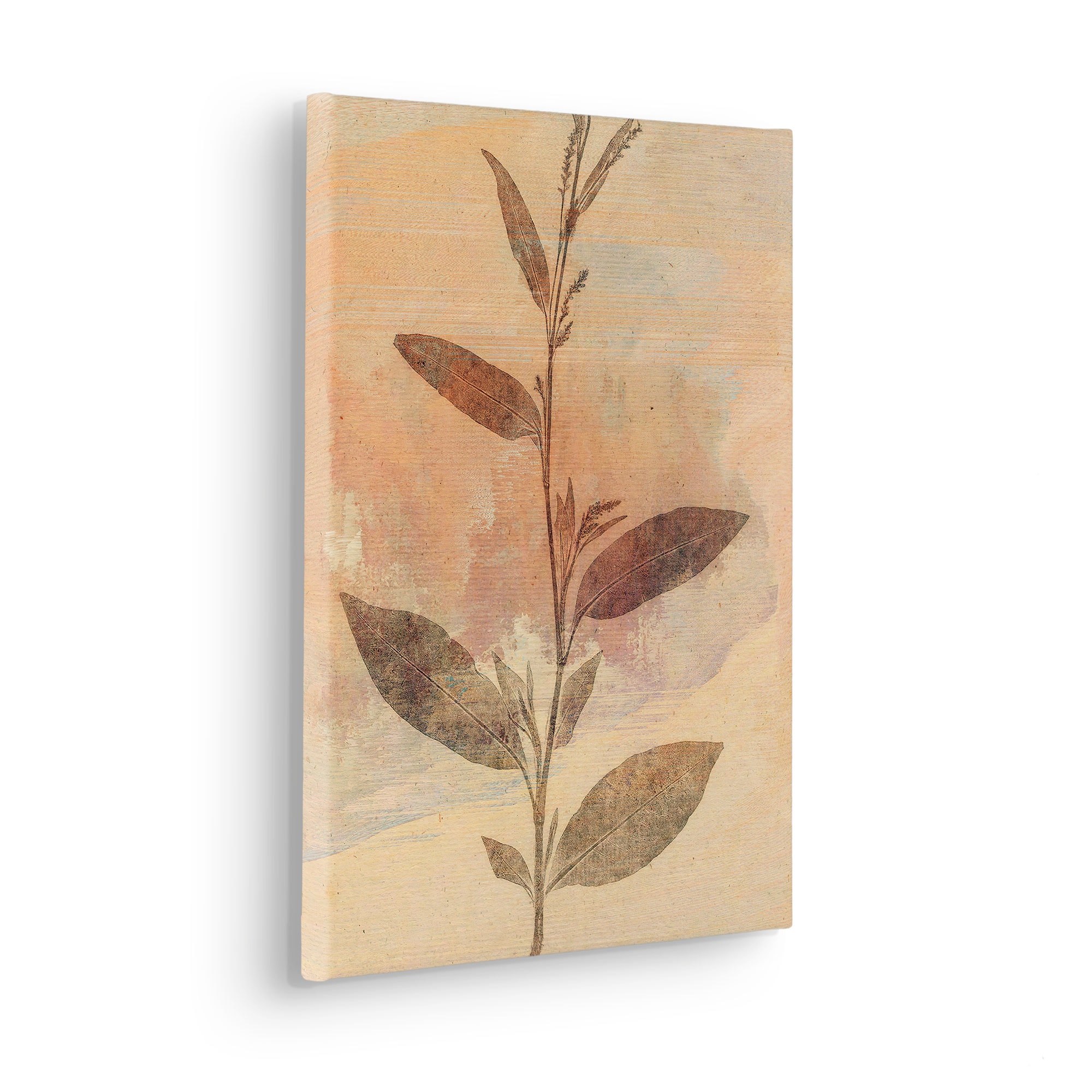 Komar Leinwandbild "Pressed Leaves - Größe 30 x 40 cm" Natur 1 Stk. tlg. Ke günstig online kaufen