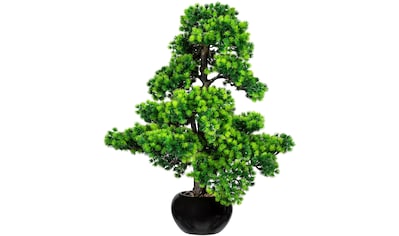 Creativ green Kunstbonsai »Bonsai Lärche«, (1 St.), im Keramiktopf kaufen